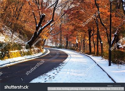 Tranh dán tường phong cảnh con đường mùa thu T321-275