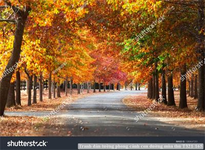 Tranh dán tường phong cảnh hồ thác, cây cối T321-502