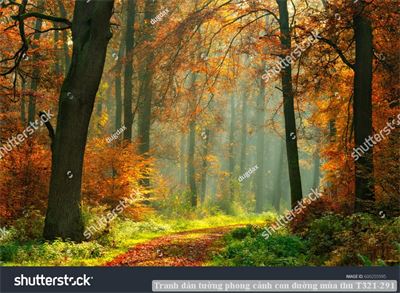 Tranh dán tường phong cảnh con đường mùa thu T321-291