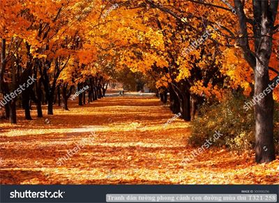 Tranh dán tường phong cảnh con đường mùa thu T321-258