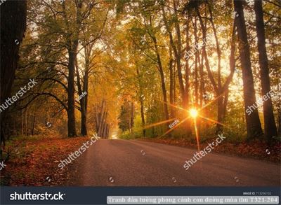 Tranh dán tường phong cảnh con đường mùa thu T321-204