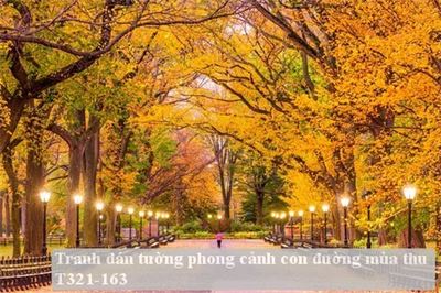 Tranh dán tường phong cảnh con đường mùa thu T321-163