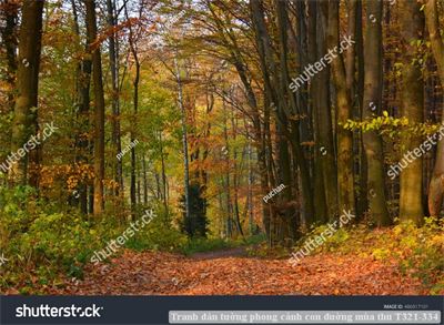 Tranh dán tường phong cảnh con đường mùa thu T321-334