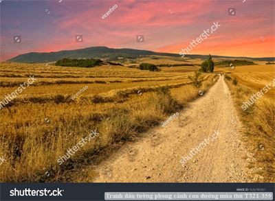 Tranh dán tường phong cảnh con đường mùa thu T321-359