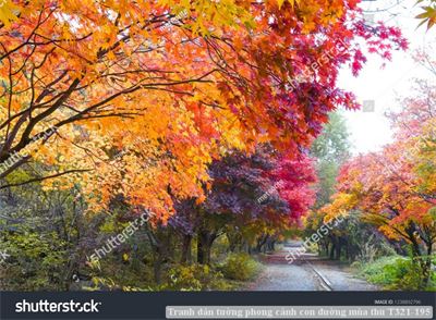 Tranh dán tường phong cảnh con đường mùa thu T321-195