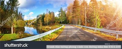 Tranh dán tường phong cảnh con đường mùa thu T321-255