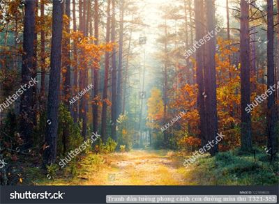 Tranh dán tường phong cảnh con đường mùa thu T321-352