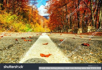 Tranh dán tường phong cảnh con đường mùa thu T321-333