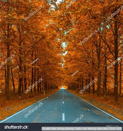 Tranh dán tường phong cảnh con đường mùa thu T321-191