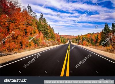 Tranh dán tường phong cảnh con đường mùa thu T321-181