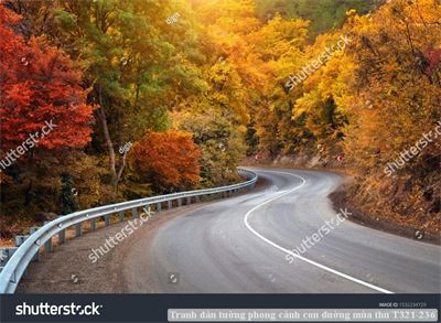 Tranh dán tường phong cảnh con đường mùa thu T321-236
