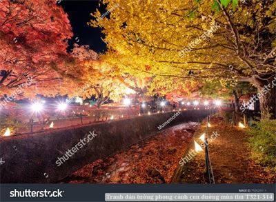 Tranh dán tường phong cảnh con đường mùa thu T321-314