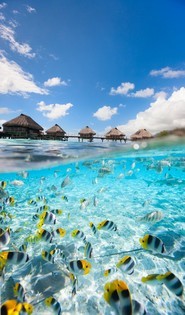 Tranh dán tường phong cảnh biển T321-027