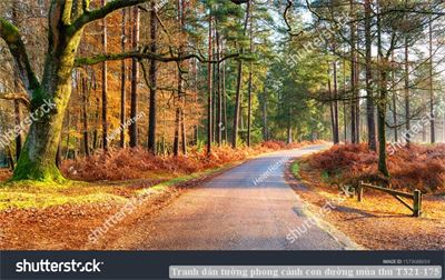 Tranh dán tường phong cảnh con đường mùa thu T321-175
