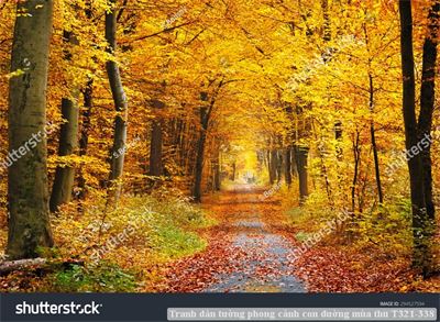 Tranh dán tường phong cảnh con đường mùa thu T321-338