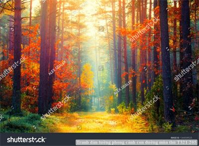 Tranh dán tường phong cảnh hồ thác, cây cối T321-488