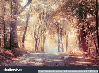 Tranh dán tường phong cảnh con đường mùa thu T321-243