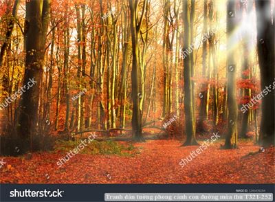 Tranh dán tường phong cảnh hồ thác, cây cối T321-462