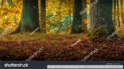 Tranh dán tường phong cảnh con đường mùa thu T321-369