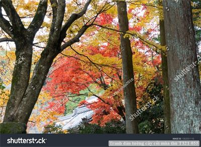 Tranh dán tường phong cảnh hồ thác, cây cối T321-534