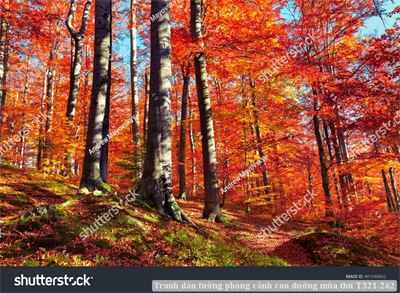 Tranh dán tường phong cảnh hồ thác, cây cối T321-482