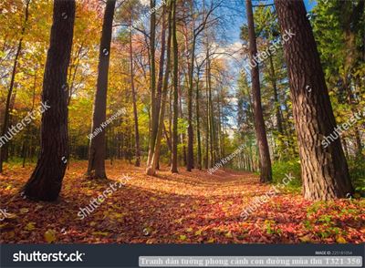 Tranh dán tường phong cảnh con đường mùa thu T321-350