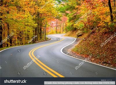 Tranh dán tường phong cảnh hồ thác, cây cối T321-573