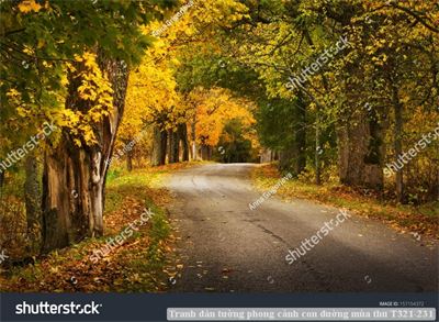 Tranh dán tường phong cảnh con đường mùa thu T321-231
