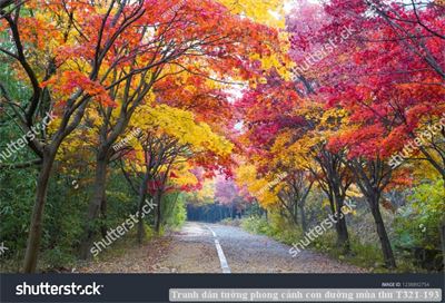Tranh dán tường phong cảnh con đường mùa thu T321-193