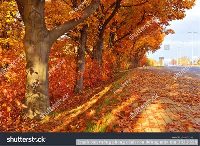 Tranh dán tường phong cảnh hồ thác, cây cối T321-542