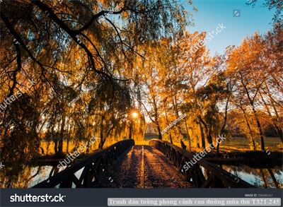 Tranh dán tường phong cảnh con đường mùa thu T321-245