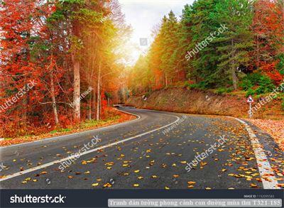 Tranh dán tường phong cảnh con đường mùa thu T321-185