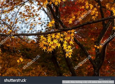 Tranh dán tường cây cối mùa thu T321-064