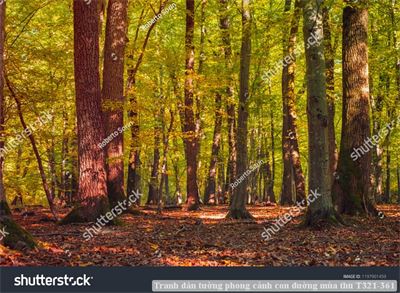 Tranh dán tường phong cảnh con đường mùa thu T321-361