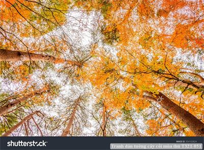 Tranh dán tường cây cối mùa thu T321-051