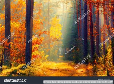 Tranh dán tường phong cảnh con đường mùa thu T321-349