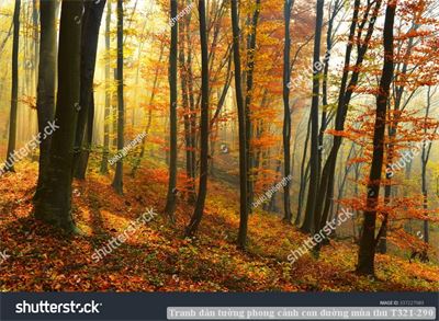 Tranh dán tường phong cảnh hồ thác, cây cối T321-563