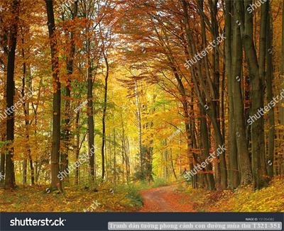 Tranh dán tường phong cảnh hồ thác, cây cối T321-467