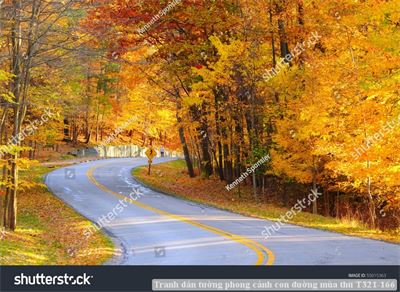 Tranh dán tường phong cảnh con đường mùa thu T321-166