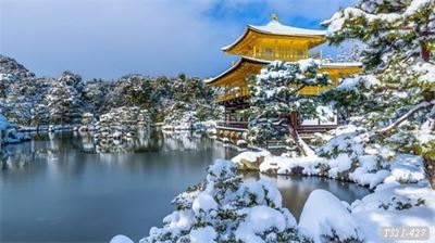 Tranh dán tường phong cảnh NHật bản T321-427