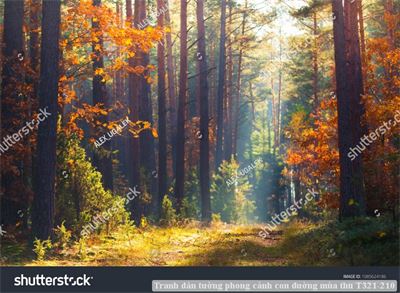 Tranh dán tường phong cảnh con đường mùa thu T321-210