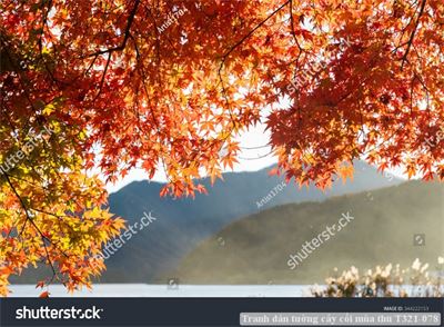Tranh dán tường cây cối mùa thu T321-078