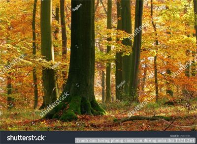 Tranh dán tường phong cảnh con đường mùa thu T321-264