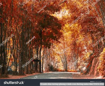 Tranh dán tường phong cảnh con đường mùa thu T321-256