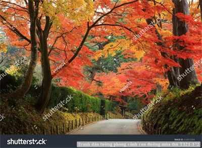 Tranh dán tường phong cảnh hồ thác, cây cối T321-485