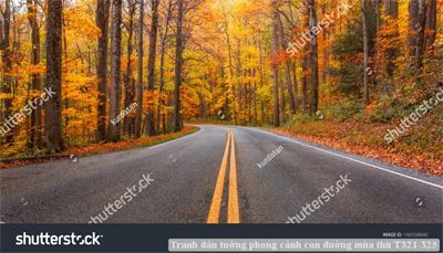 Tranh dán tường phong cảnh con đường mùa thu T321-325