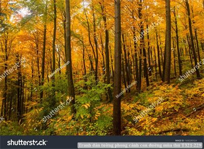 Tranh dán tường phong cảnh con đường mùa thu T321-229