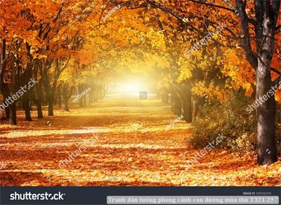 Tranh dán tường phong cảnh con đường mùa thu T321-257