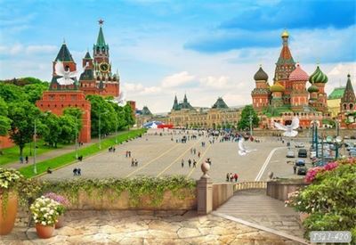 Tranh dán tường phong cảnh hồ thác, cây cối T321-469