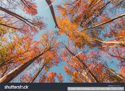 Tranh dán tường cây cối mùa thu T321-107